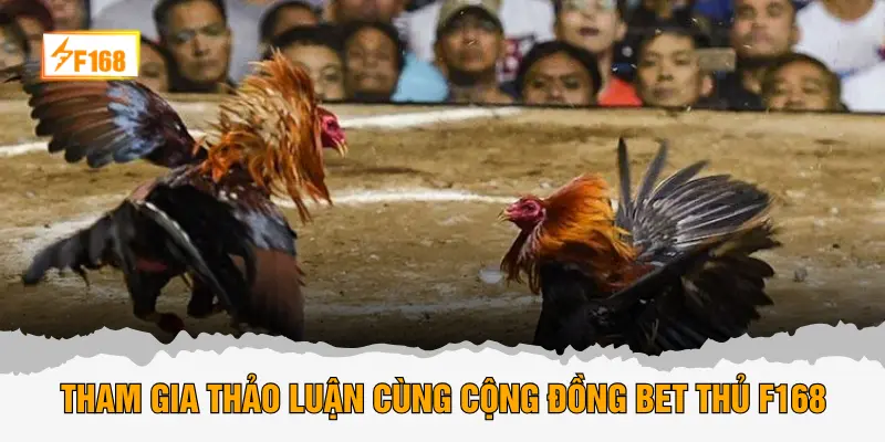 Tham gia thảo luận cùng cộng đồng bet thủ F168